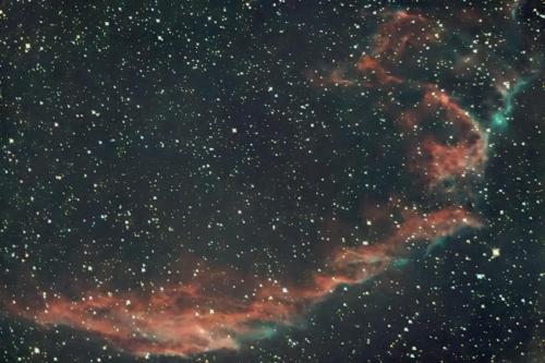 Grande dentelle du cygne