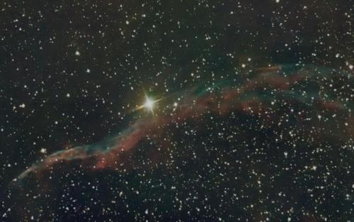 Petite dentelle du cygne