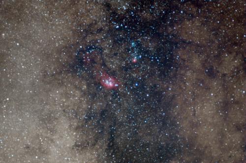 Champ large Trifide + Lagune